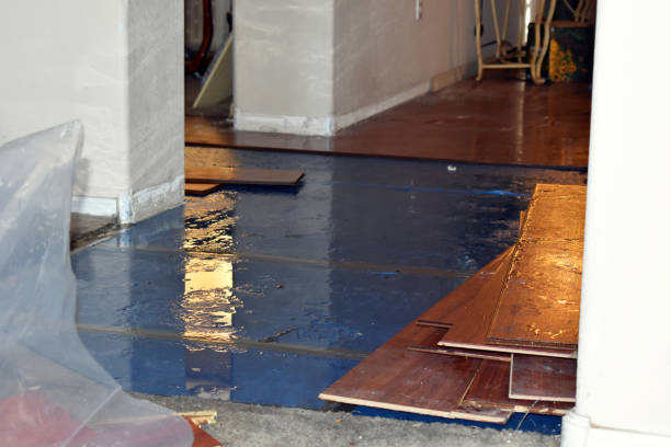 Professional Sewage Cleanup technician working in Natick, MA